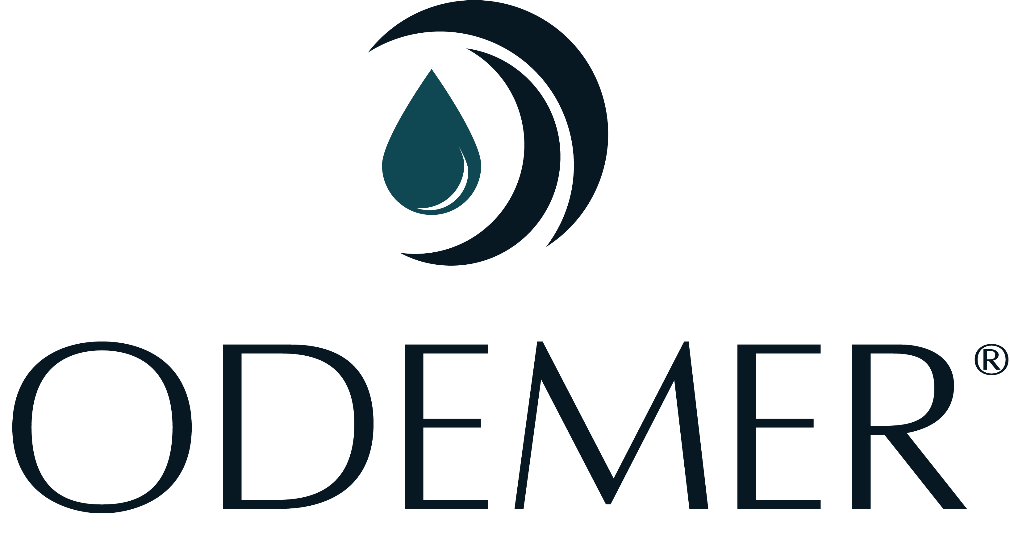 LOGO ODEMER 2023